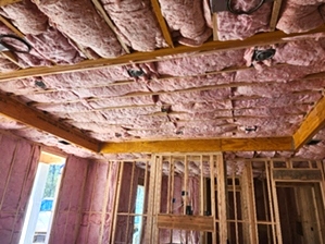 Insulation Batt