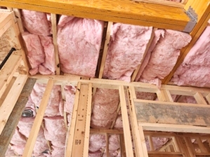 Insulation Batt