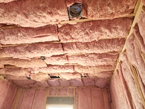 Insulation Batt