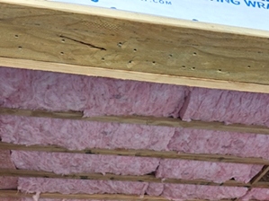 Insulation Batt